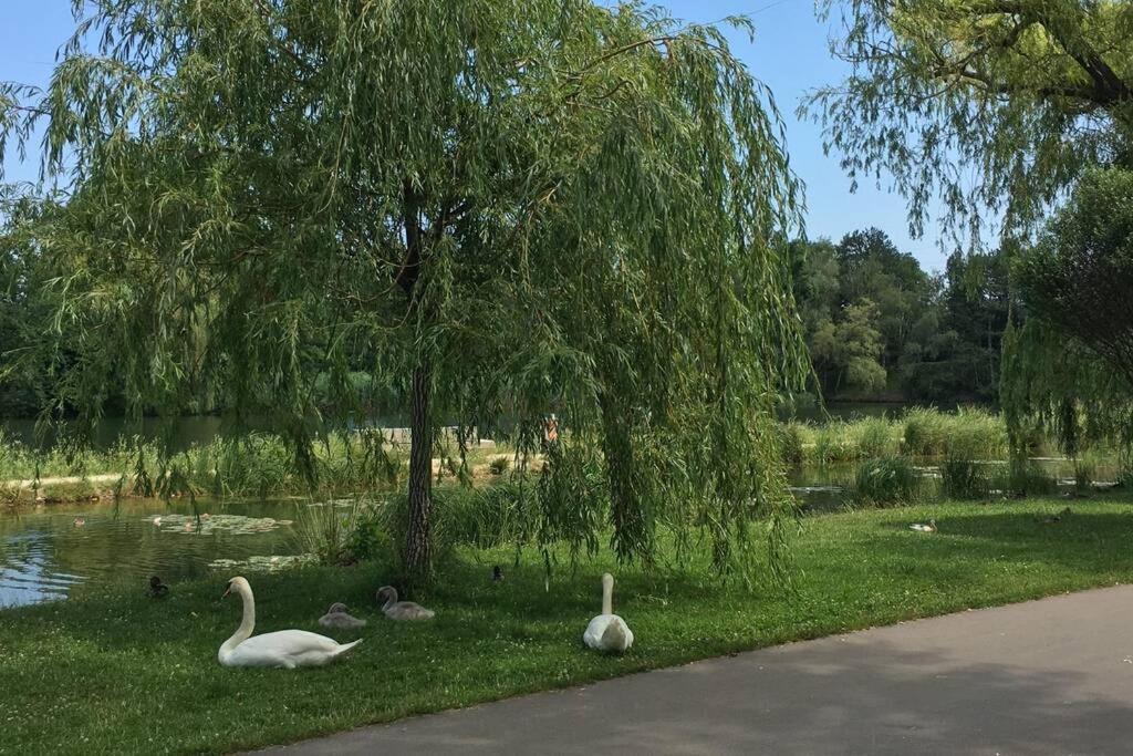 Luxury Design Apartment Wiedeń Zewnętrze zdjęcie